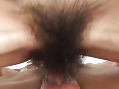 Hairyest путка bvr